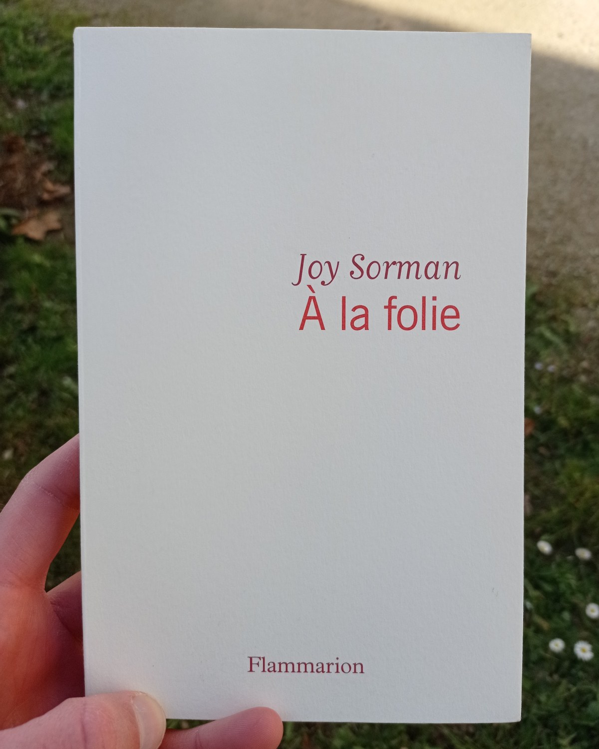 À la folie / Joy Sorman