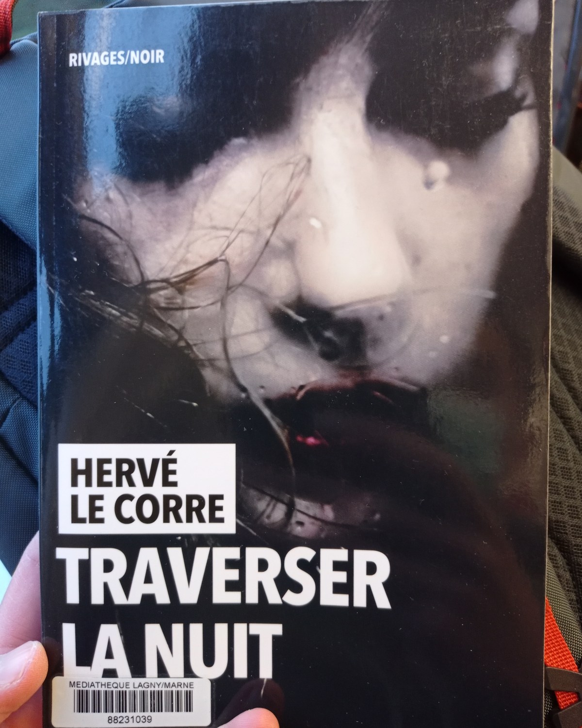 Traverser la nuit / Hervé Le Corre