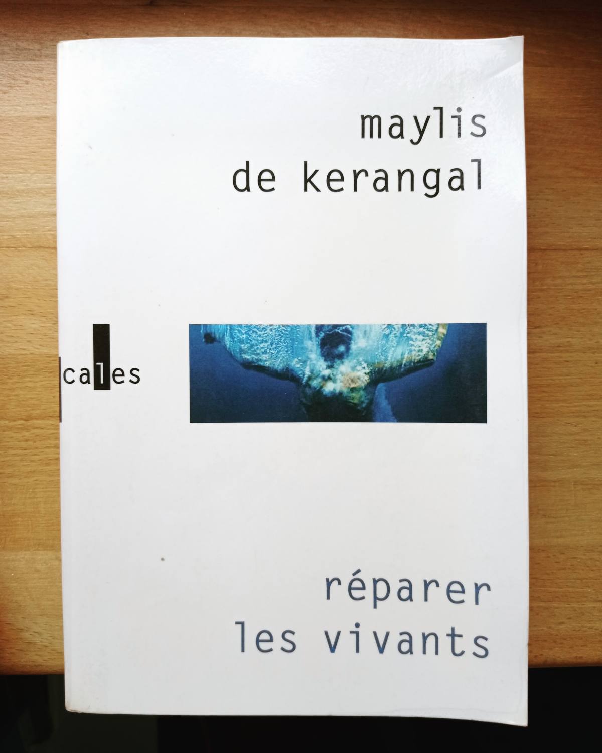 Réparer les vivants / Maylis De Kerangal