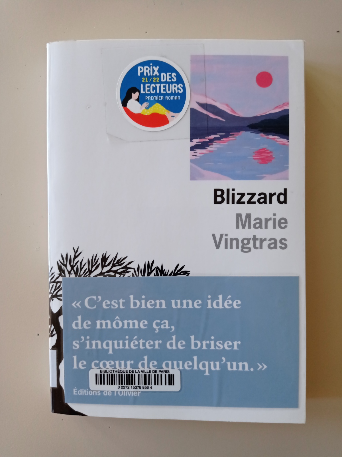 Blizzard / Marie Vingtras