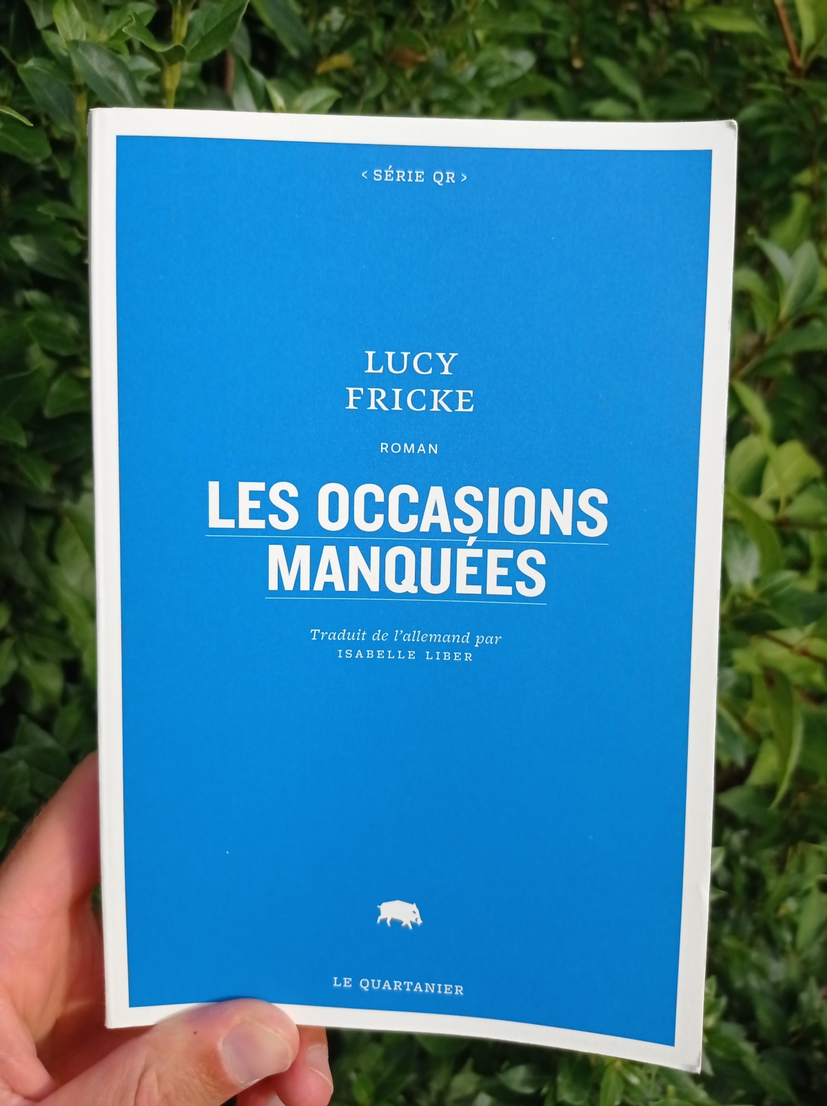 Les occasions manquées / Lucy Fricke
