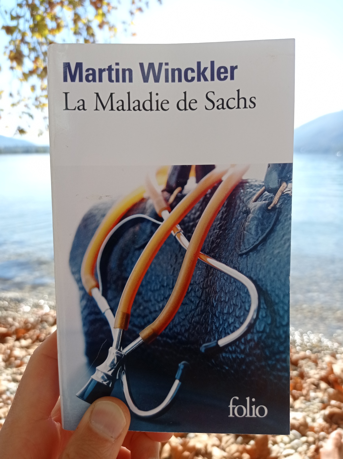 La Maladie de Sachs / Martin Winckler