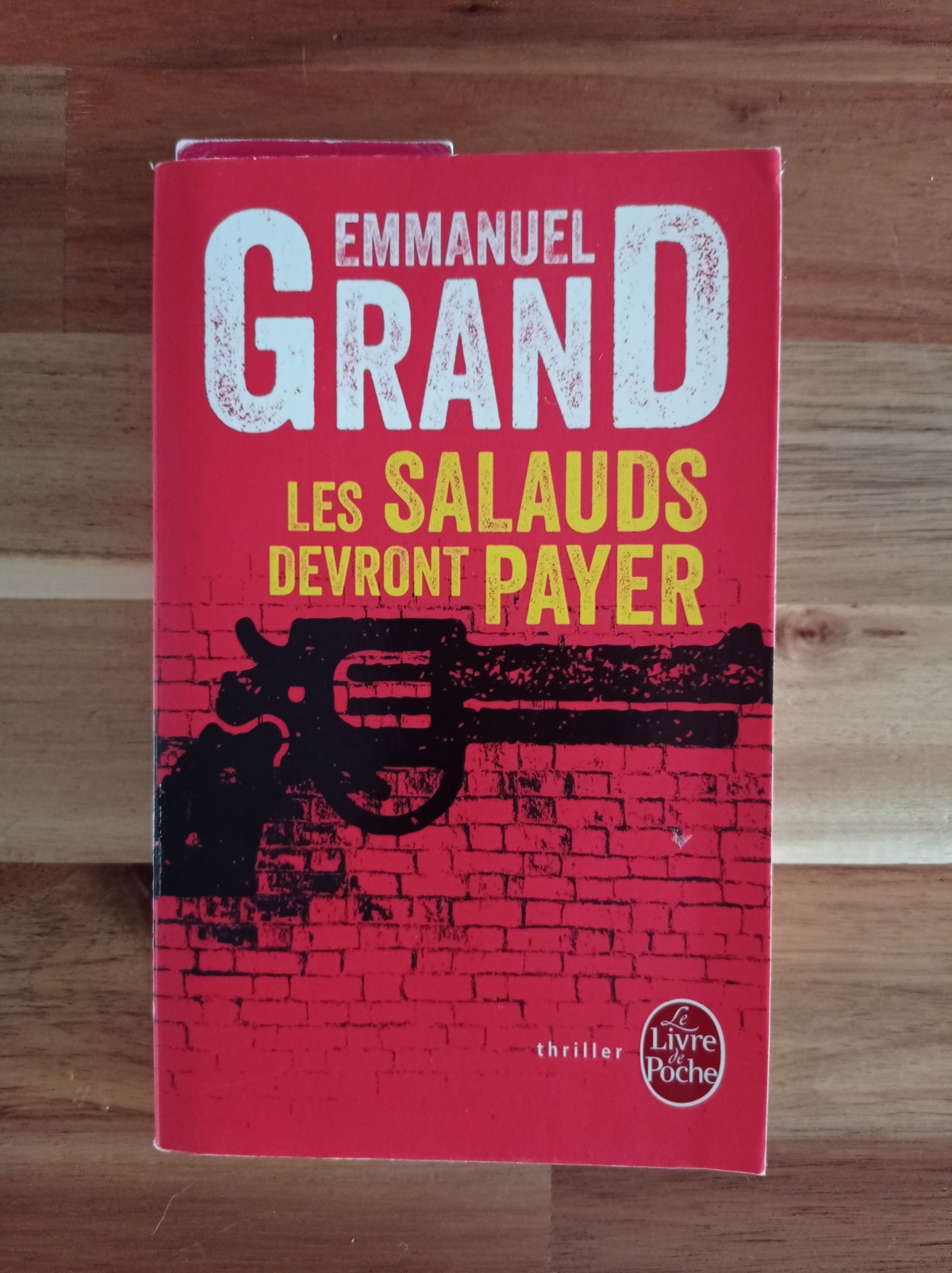Les Salauds devront payer / Emmanuel Grand