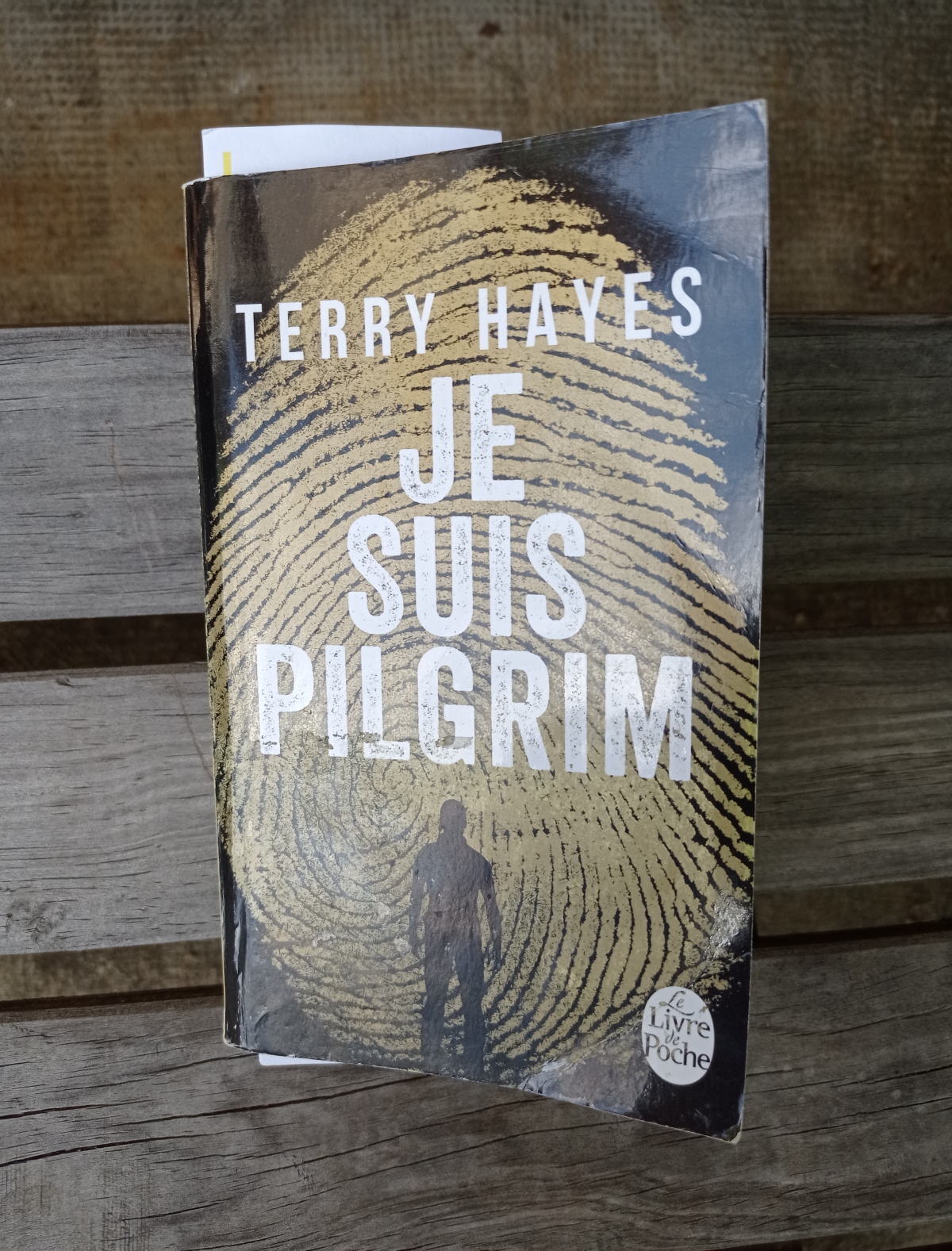 Pilgrim / Terry Hayes