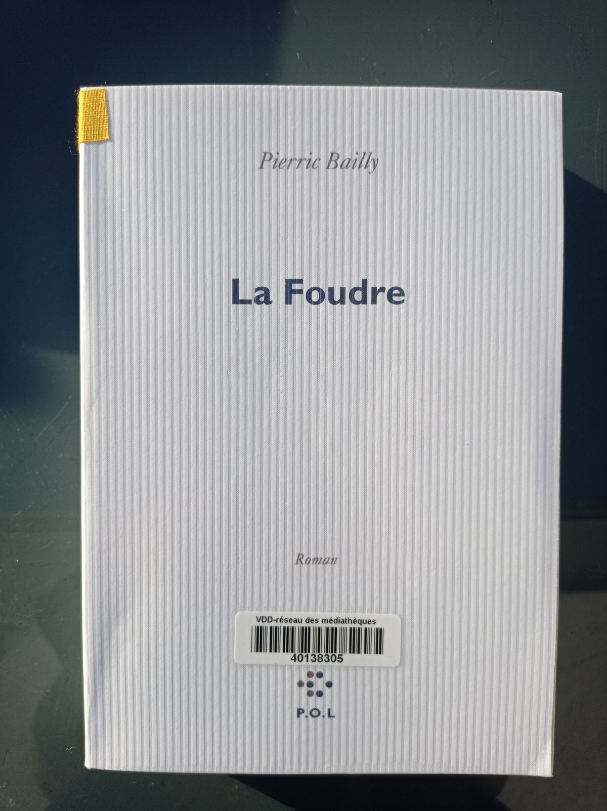 La Foudre / Pierric Bailly