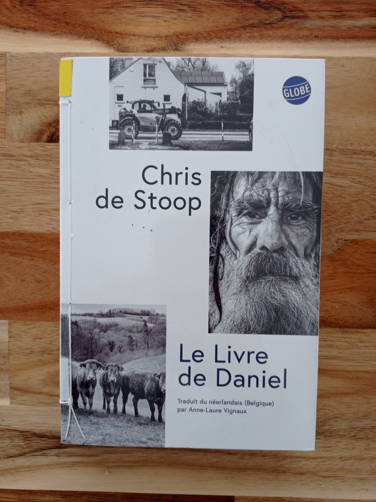Le livre de Daniel / Chris de Stoop