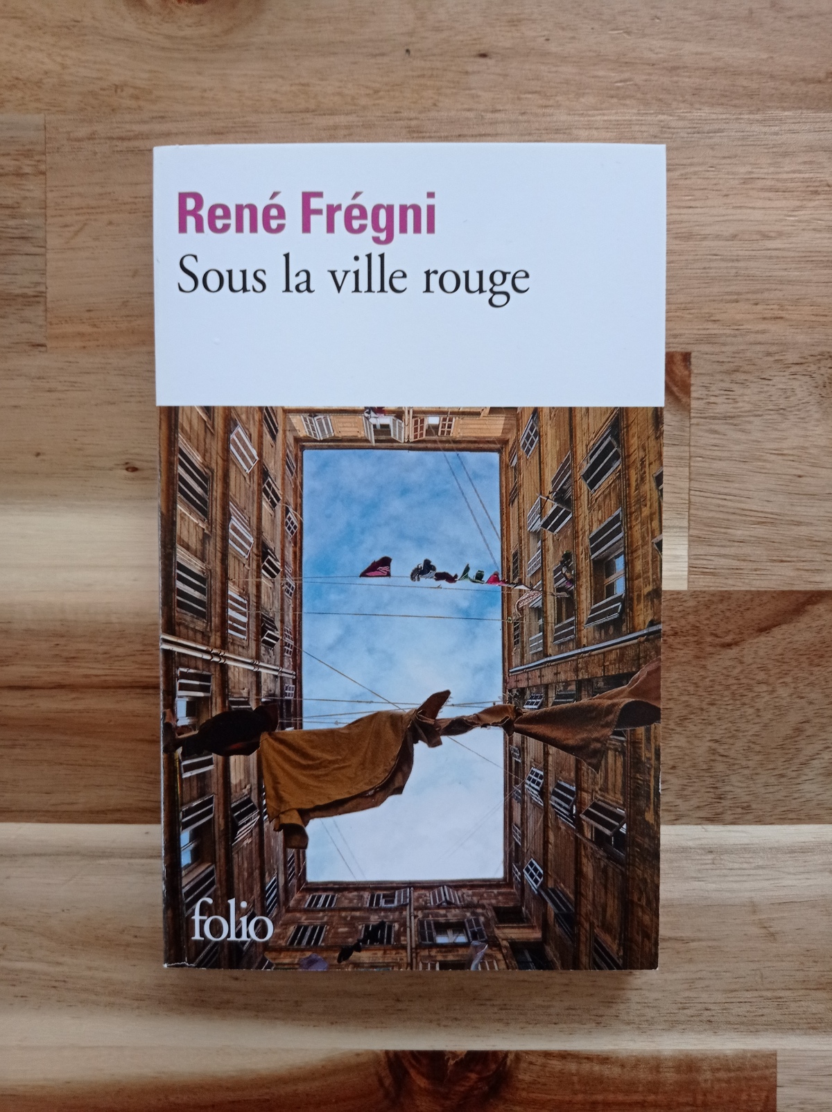 Sous la ville rouge / René Frégni